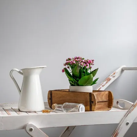 Apartment Comfortable In Kirchdorf Near The Sea Insel Poel